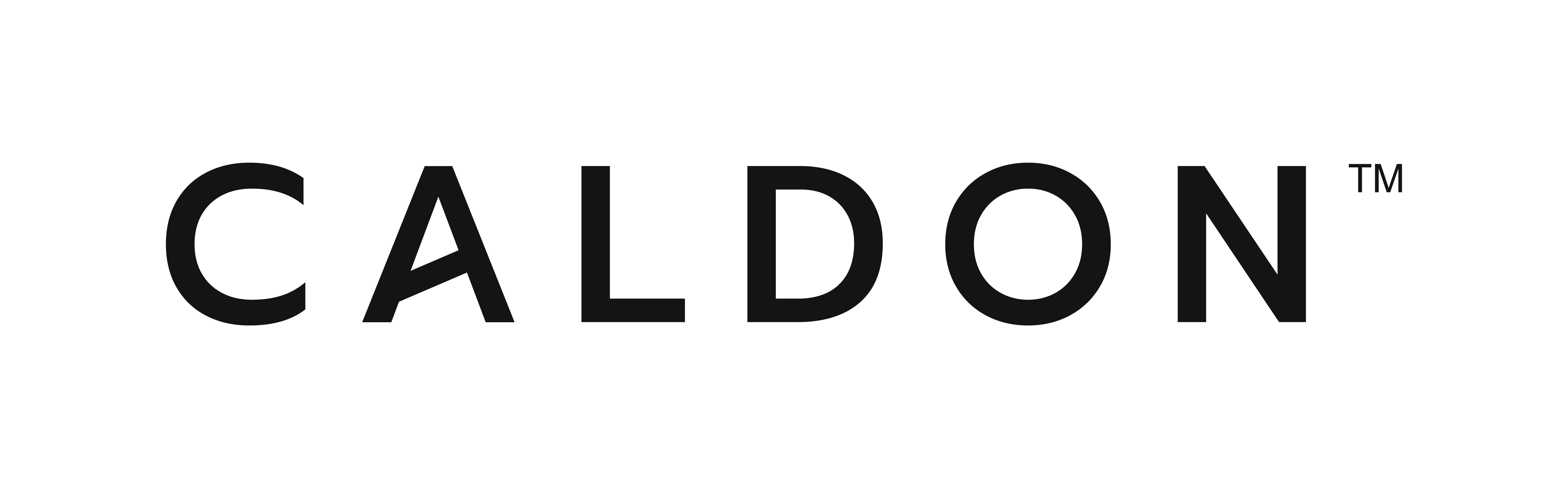 CALDON™ Logo